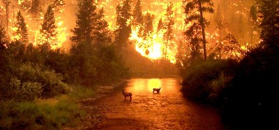 montana-fire-edit.jpg